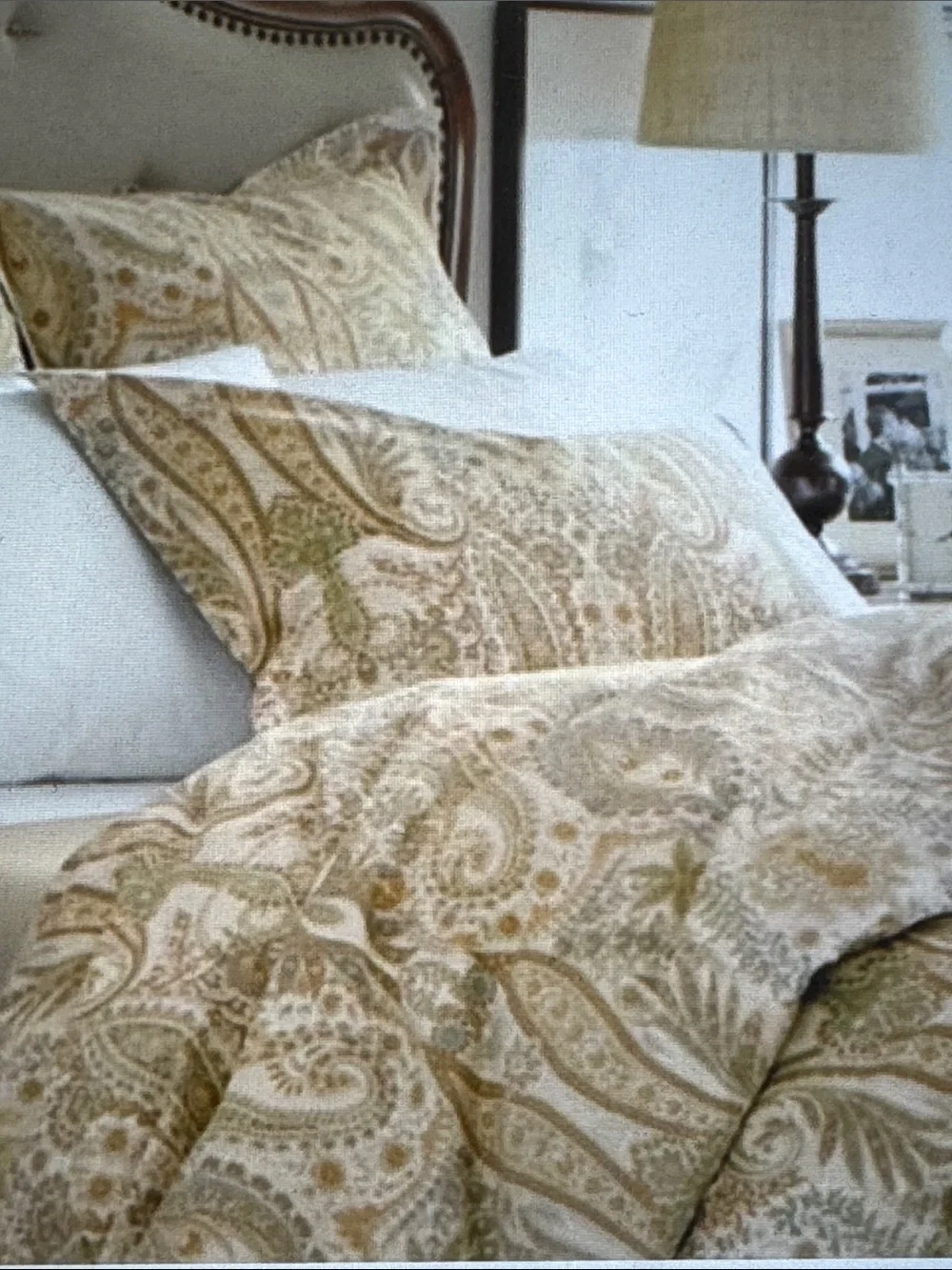 Pottery Barn Blythe Paisley Duvet Cover King Organic Cotton Sateen Floral